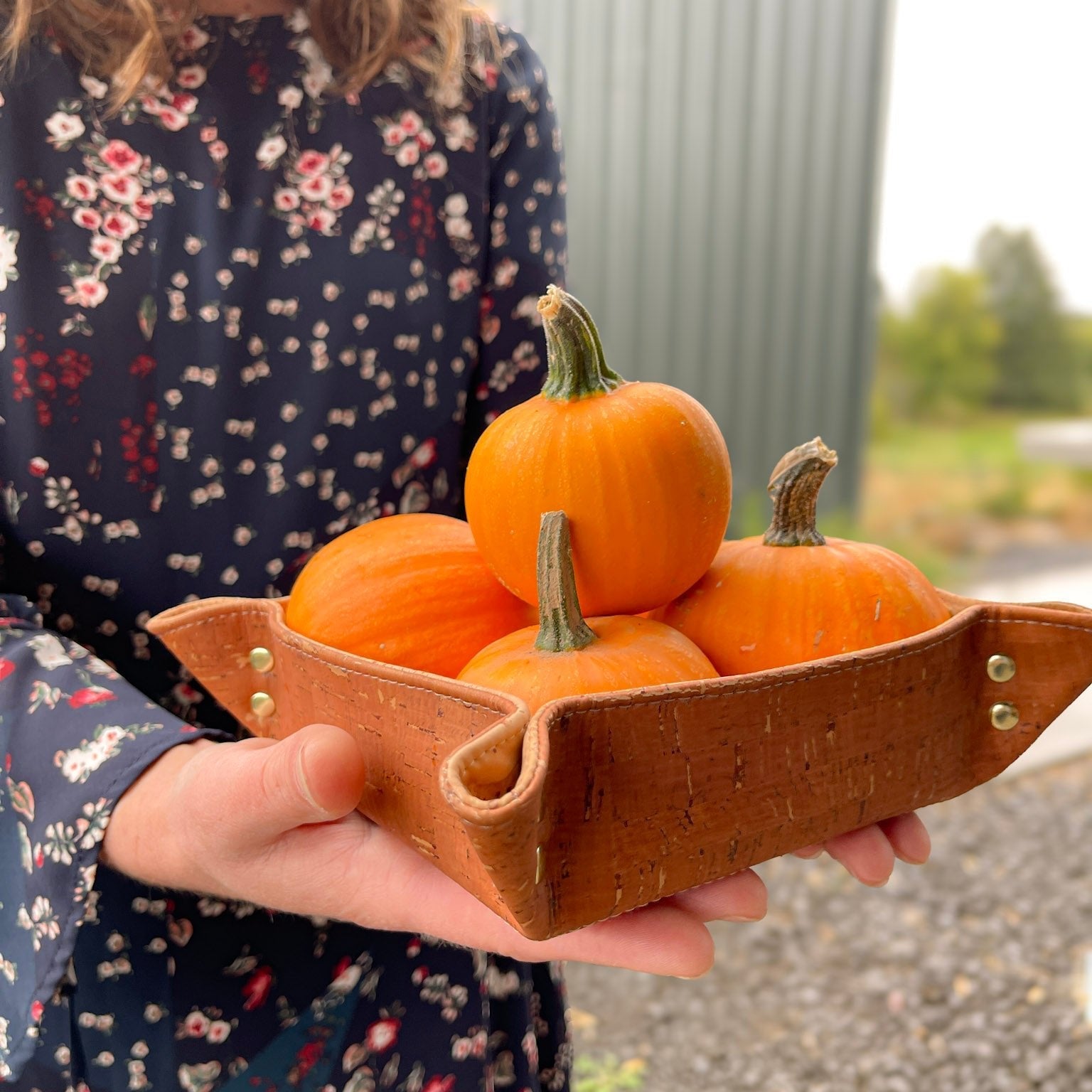 Sepia Minimalist Valet Tray