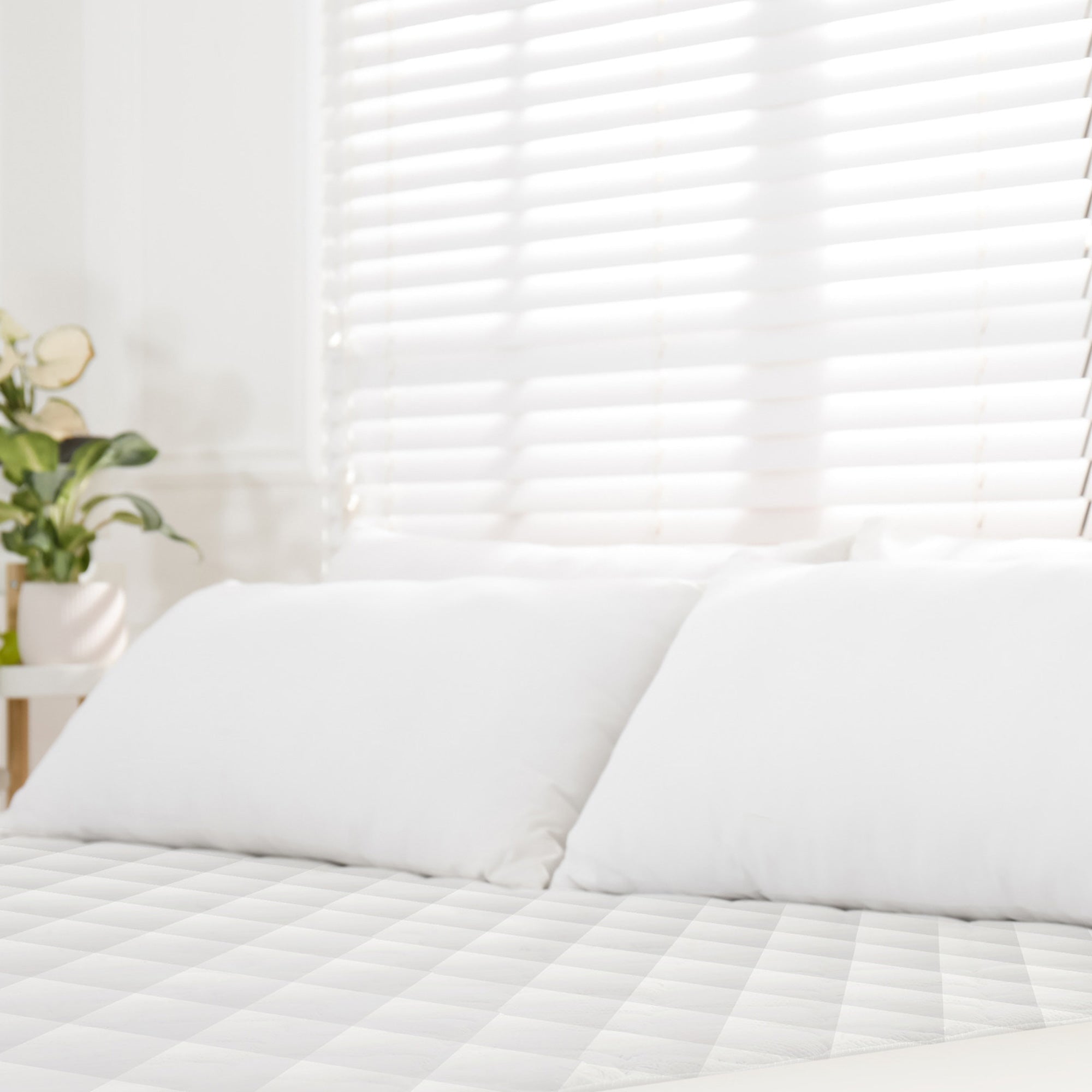 Organic Cotton Quilted Mattress Pad